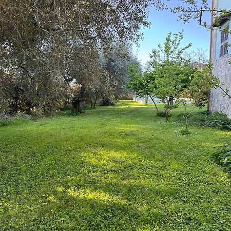 La Piccola Provenza Βίλα Fiano Romano Εξωτερικό φωτογραφία