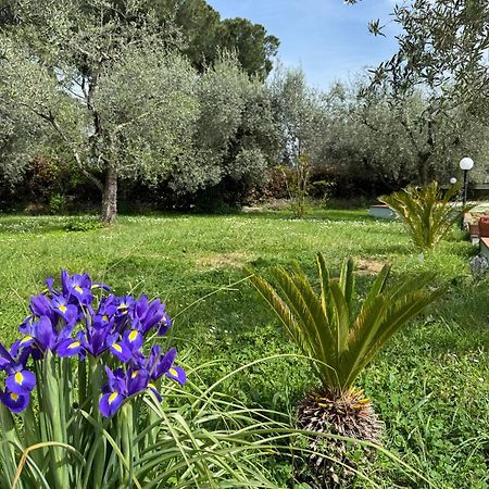 La Piccola Provenza Βίλα Fiano Romano Εξωτερικό φωτογραφία